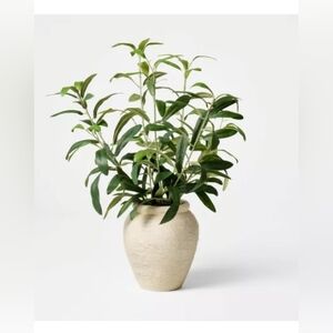 16" Small Olive Leaf Arrangement - Threshold™ designed with Studio McGee